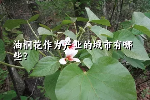 油桐花作为产业的城市有哪些？