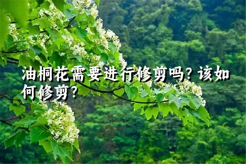 油桐花需要进行修剪吗？该如何修剪？