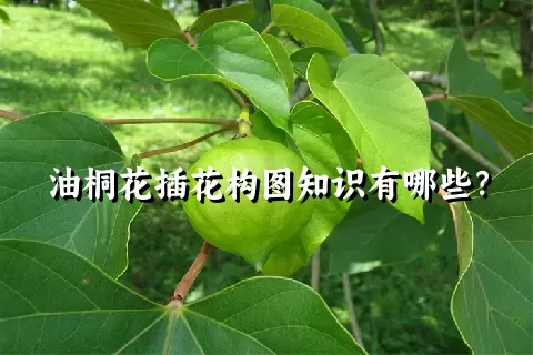 油桐花插花构图知识有哪些？