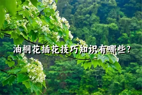 油桐花插花技巧知识有哪些？