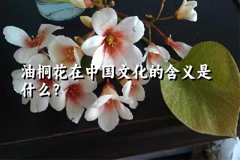 油桐花在中国文化的含义是什么？