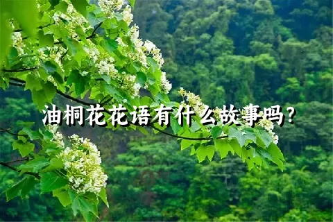 油桐花花语有什么故事吗？