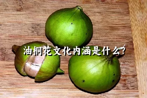 油桐花文化内涵是什么？