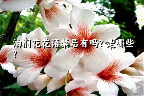 油桐花花语禁忌有吗？是哪些？