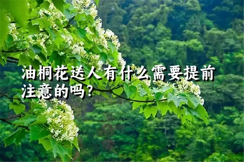 油桐花送人有什么需要提前注意的吗？