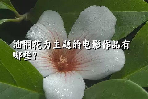 油桐花为主题的电影作品有哪些？