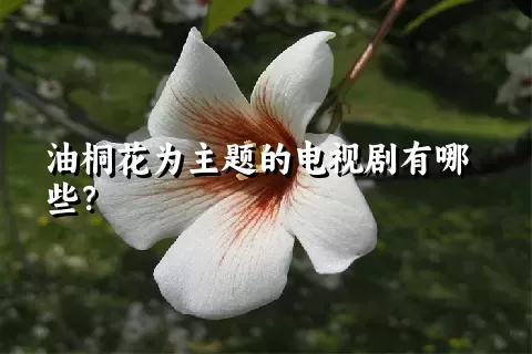 油桐花为主题的电视剧有哪些？