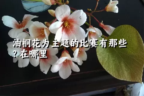 油桐花为主题的比赛有那些？在哪里