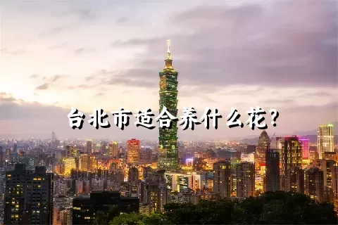 台北市适合养什么花？