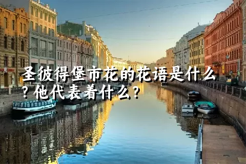 圣彼得堡市花的花语是什么？他代表着什么？