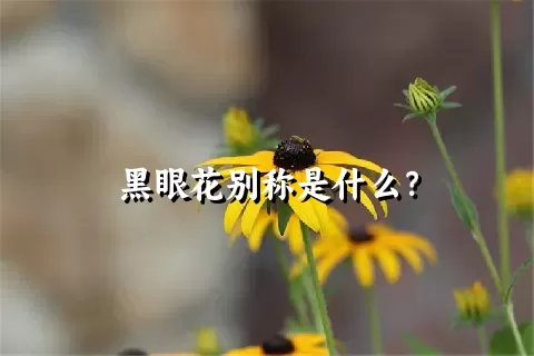 黑眼花别称是什么？