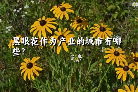 黑眼花作为产业的城市有哪些？