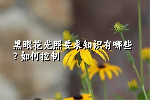 黑眼花光照要求知识有哪些？如何控制