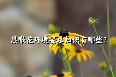 黑眼花环境要求知识有哪些？