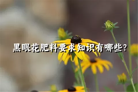 黑眼花肥料要求知识有哪些？