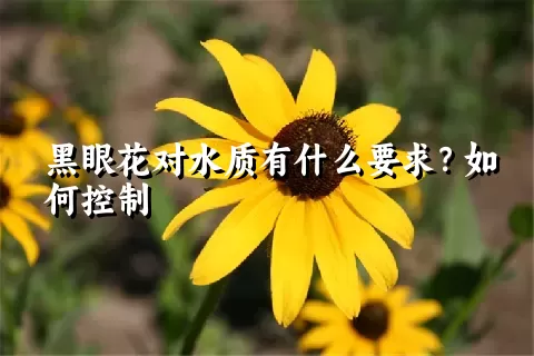 黑眼花对水质有什么要求？如何控制