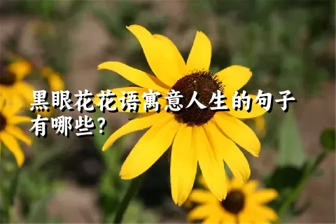 黑眼花花语寓意人生的句子有哪些？