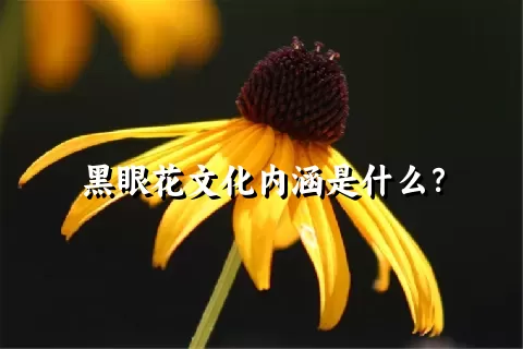 黑眼花文化内涵是什么？