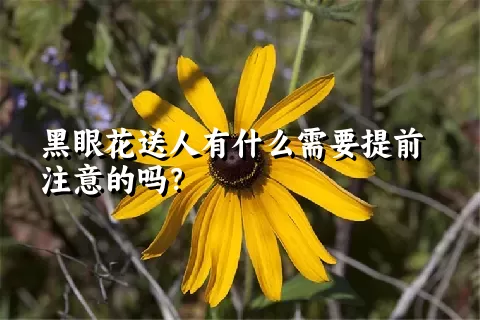 黑眼花送人有什么需要提前注意的吗？