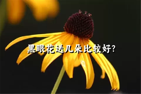 黑眼花送几朵比较好？