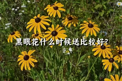 黑眼花什么时候送比较好？