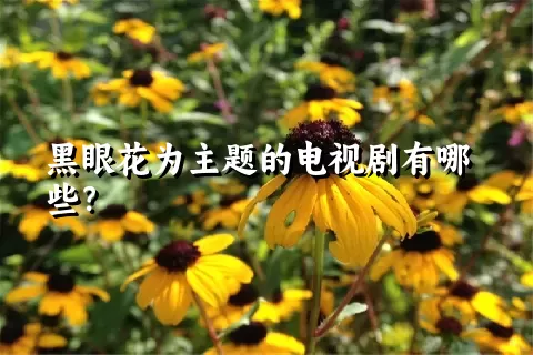 黑眼花为主题的电视剧有哪些？