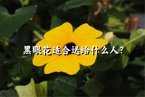 黑眼花适合送给什么人？