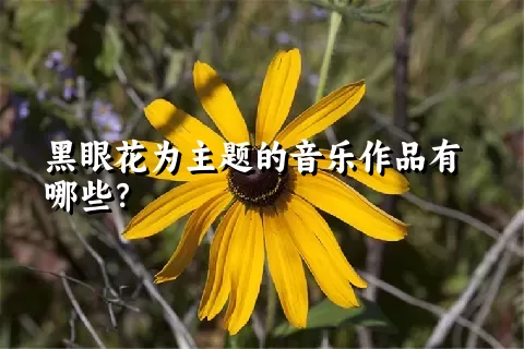 黑眼花为主题的音乐作品有哪些？