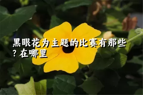 黑眼花为主题的比赛有那些？在哪里