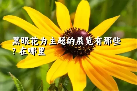 黑眼花为主题的展览有那些？在哪里