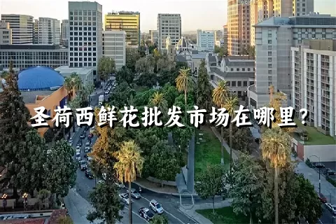 圣荷西鲜花批发市场在哪里？