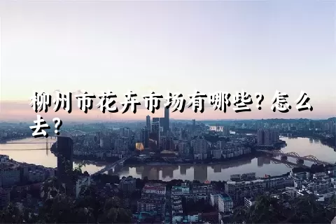 柳州市花卉市场有哪些？怎么去？