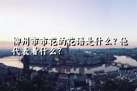 柳州市市花的花语是什么？他代表着什么？