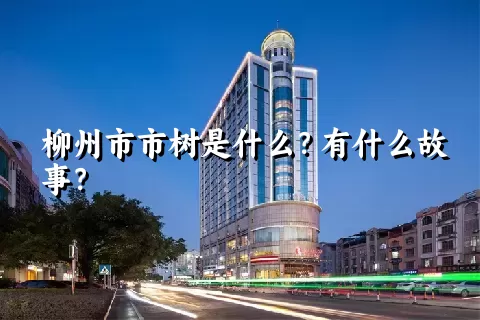 柳州市市树是什么？有什么故事？