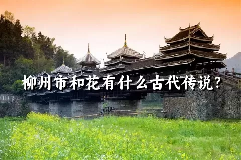 柳州市和花有什么古代传说？