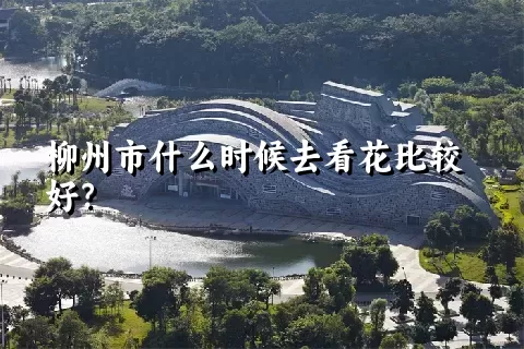 柳州市什么时候去看花比较好？