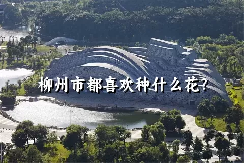 柳州市都喜欢种什么花？