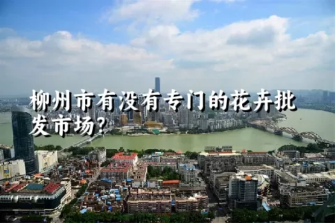 柳州市有没有专门的花卉批发市场？