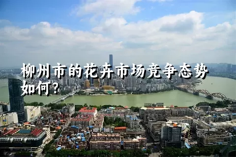 柳州市的花卉市场竞争态势如何？