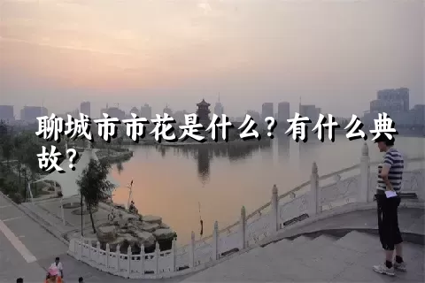 聊城市市花是什么？有什么典故？