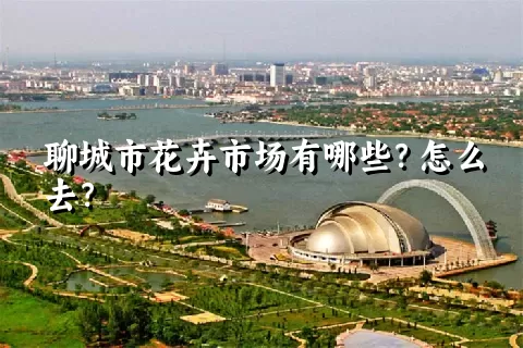 聊城市花卉市场有哪些？怎么去？