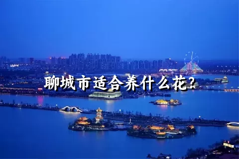 聊城市适合养什么花？