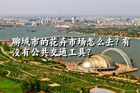 聊城市的花卉市场怎么去？有没有公共交通工具？