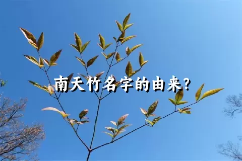 南天竹名字的由来？