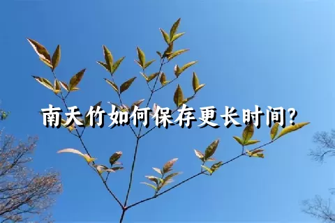 南天竹如何保存更长时间？