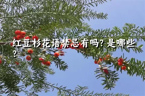 红豆杉花语禁忌有吗？是哪些？