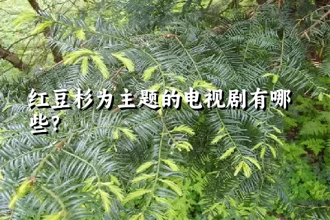 红豆杉为主题的电视剧有哪些？