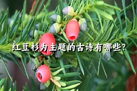 红豆杉为主题的古诗有哪些？