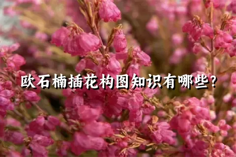 欧石楠插花构图知识有哪些？