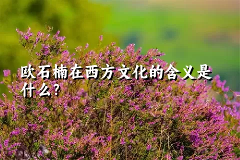 欧石楠在西方文化的含义是什么？